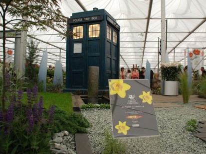 Tardis in Bloom